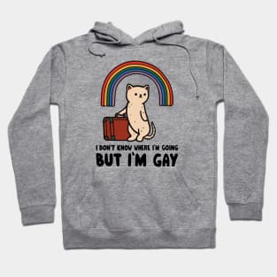 I don't know where I'm going but I'm gay Hoodie